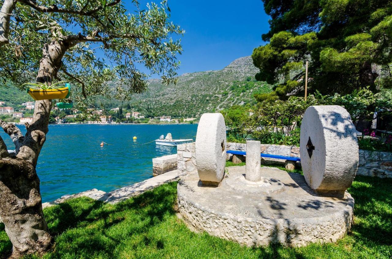 Art Apartment Seasoul Zaton  Εξωτερικό φωτογραφία